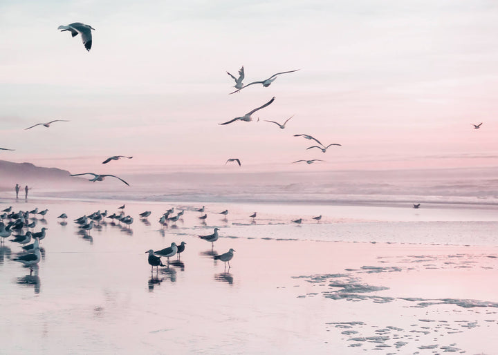 Canvastavla - Birds and pink sunset