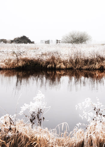 Canvastavla - Northern