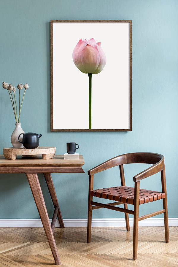 Poster - Lotus