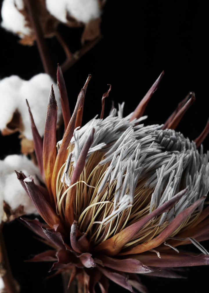 Canvastavla - Exotic