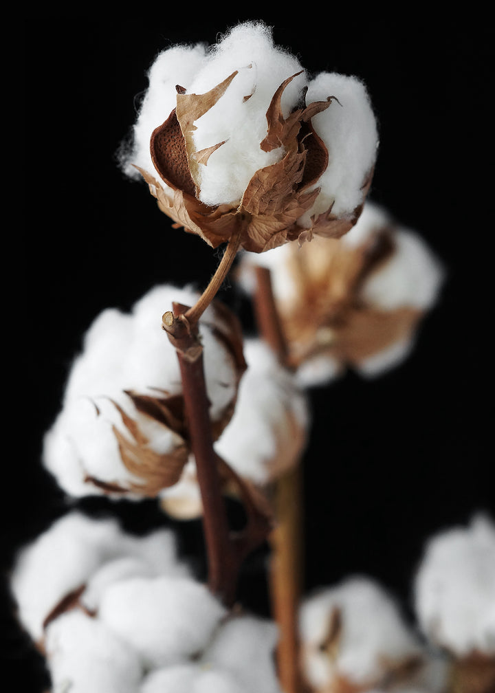 Canvastavla - Nougat