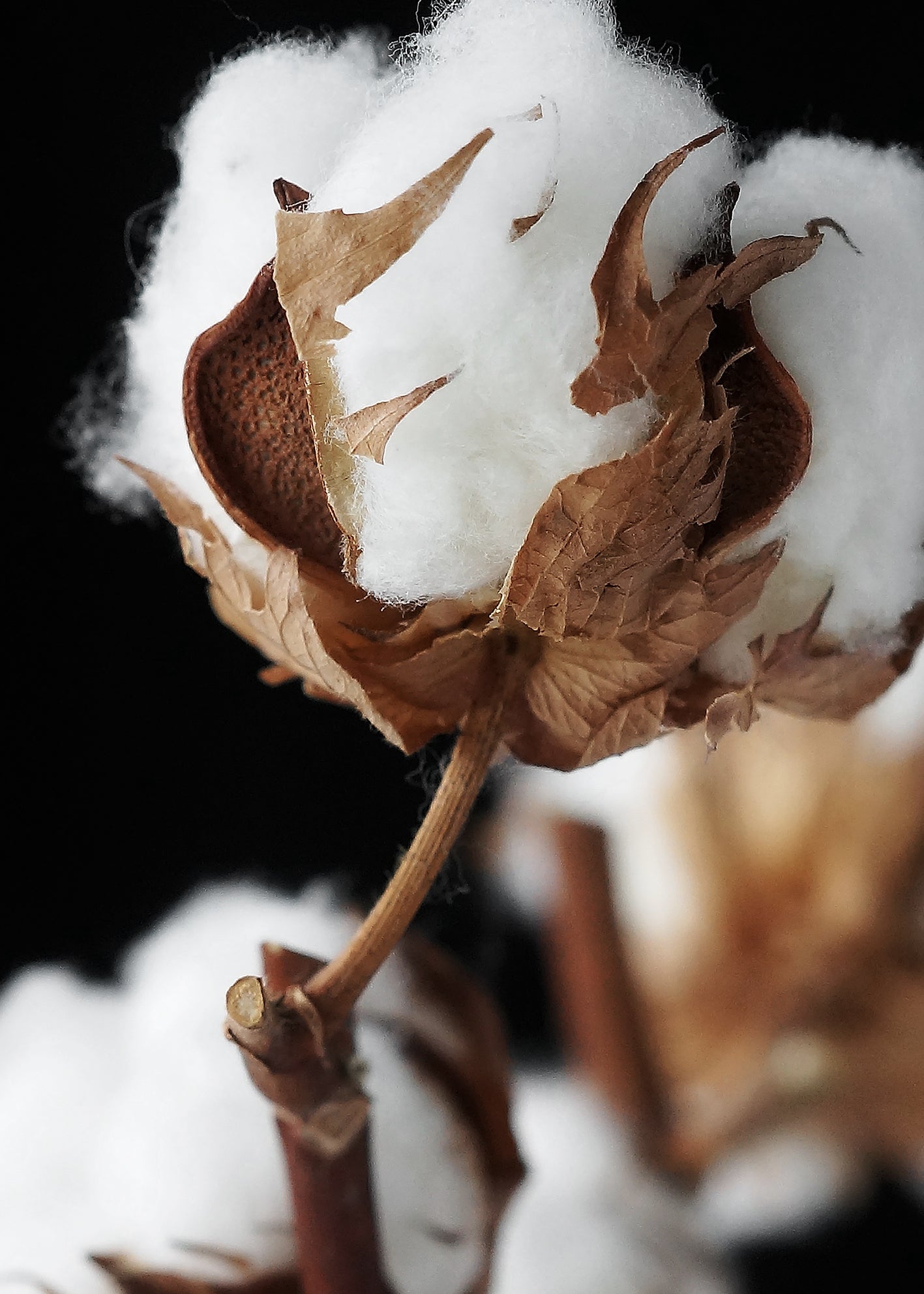 Canvastavla - Nougat