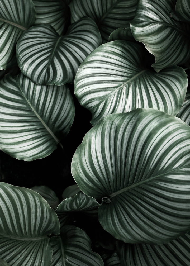 Canvastavla - Green Leavs