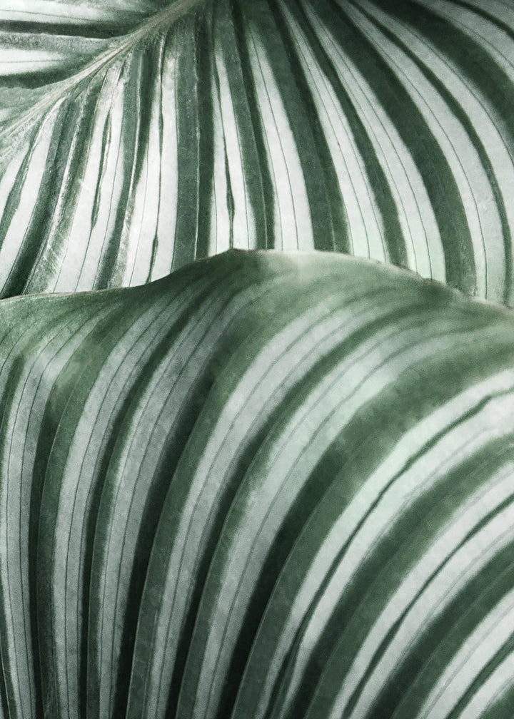 Canvastavla - Green Leavs