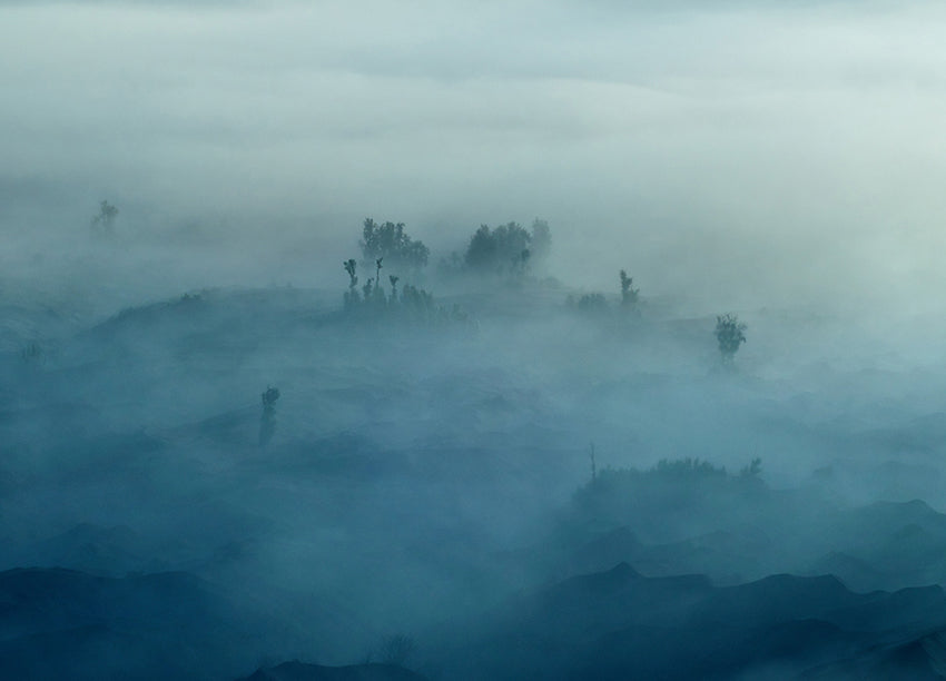Canvastavla - Misty Morning