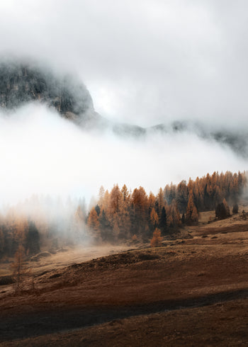 Canvastavla - Hazy Mountains