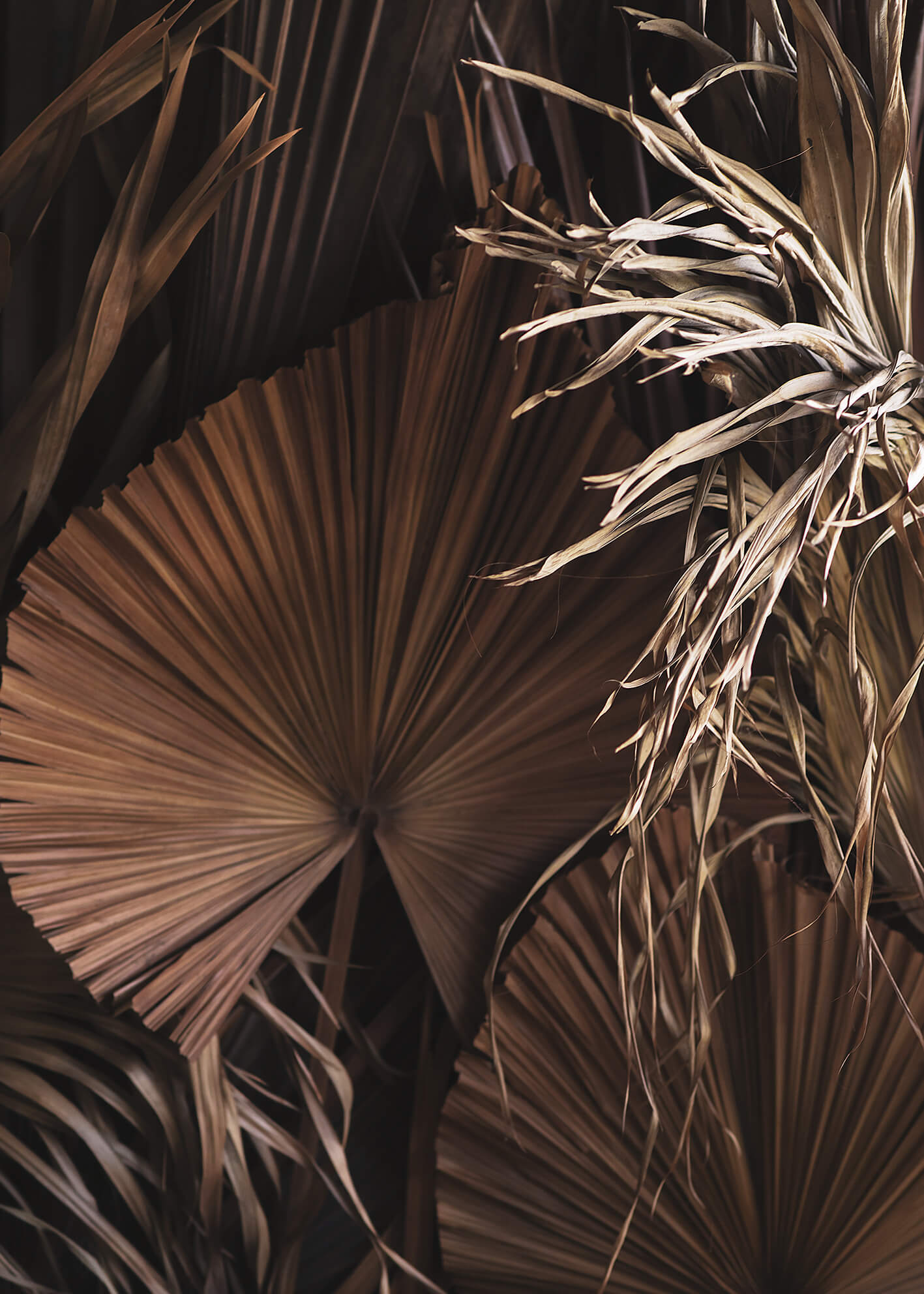 Canvastavla - Dried Tropical leaves