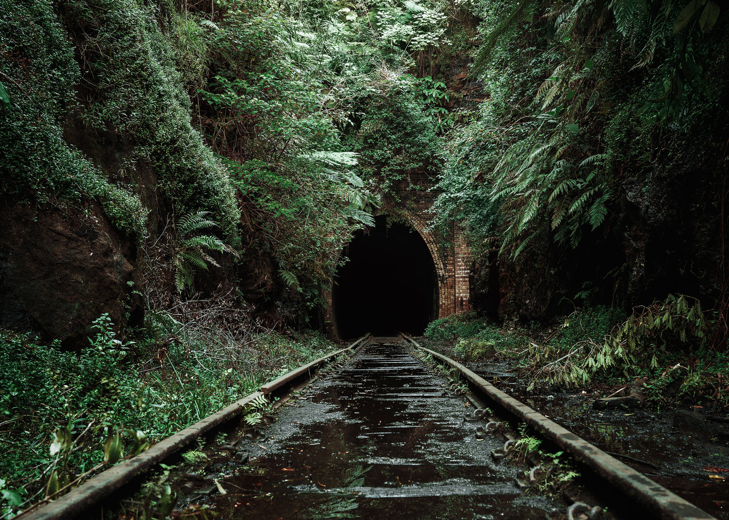 Canvastavla - Nature's Overpass