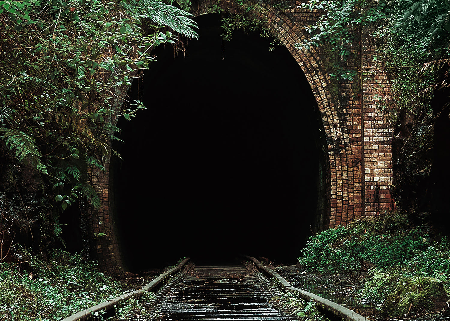 Canvastavla - Nature's Overpass