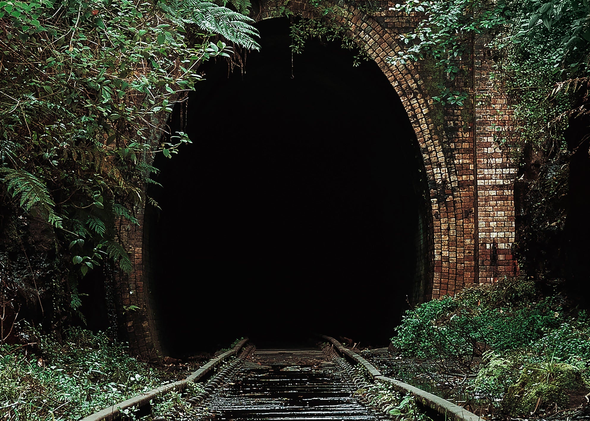 Canvastavla - Nature's Overpass