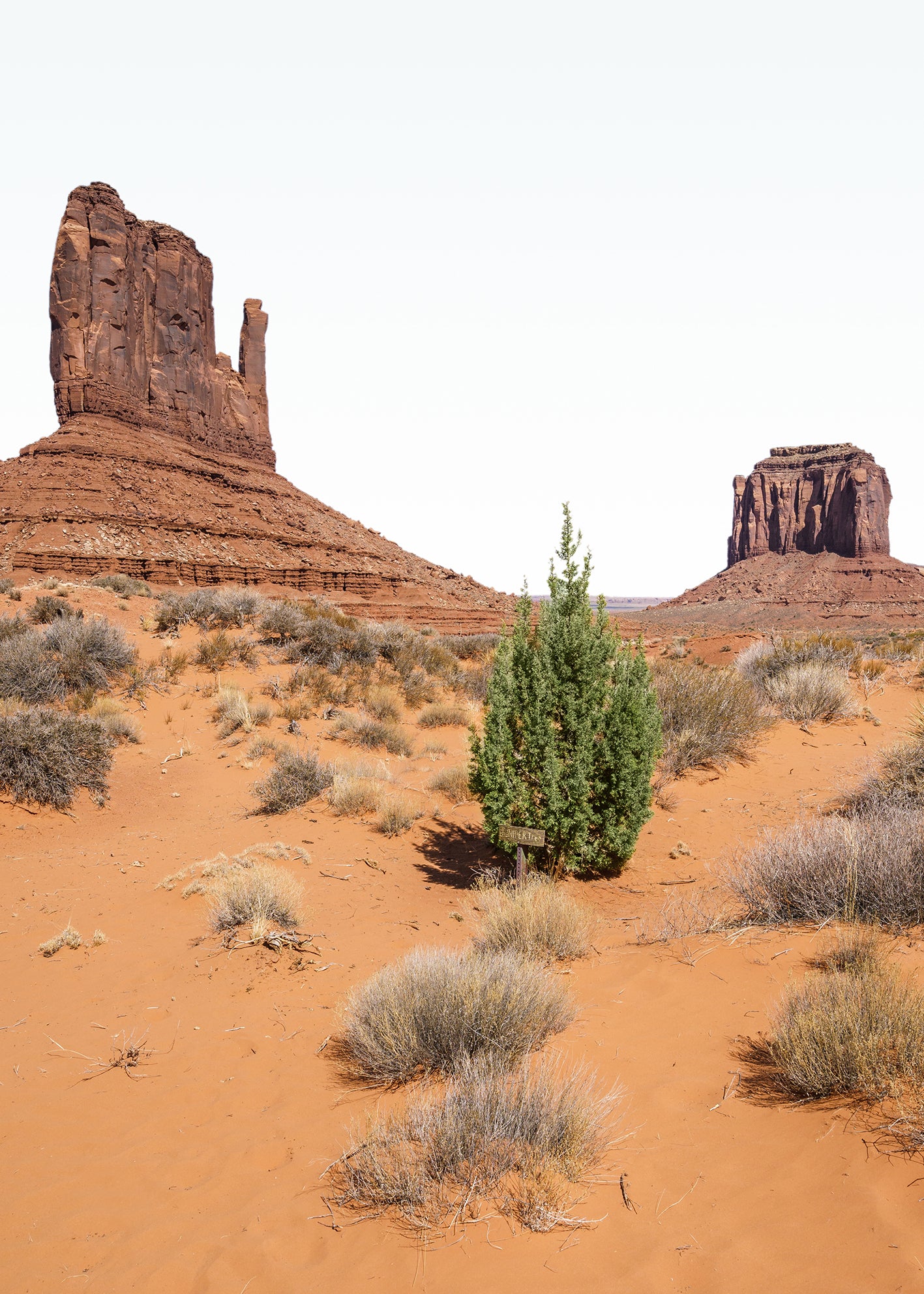 Canvastavla - Wildcat Trail