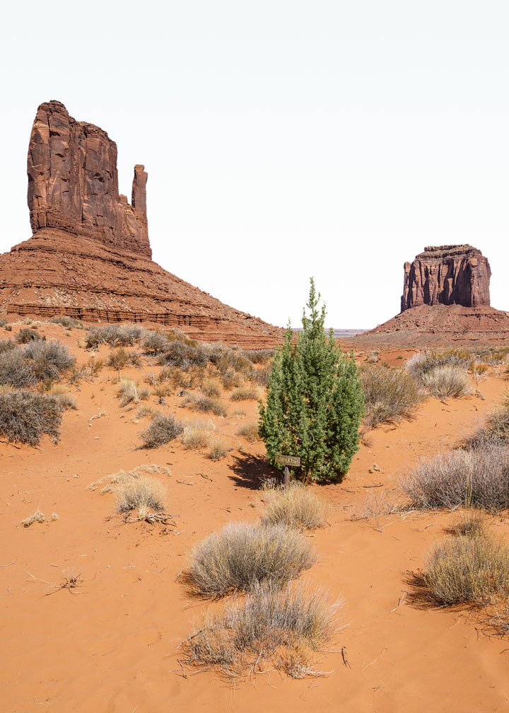 Canvastavla - Wildcat Trail