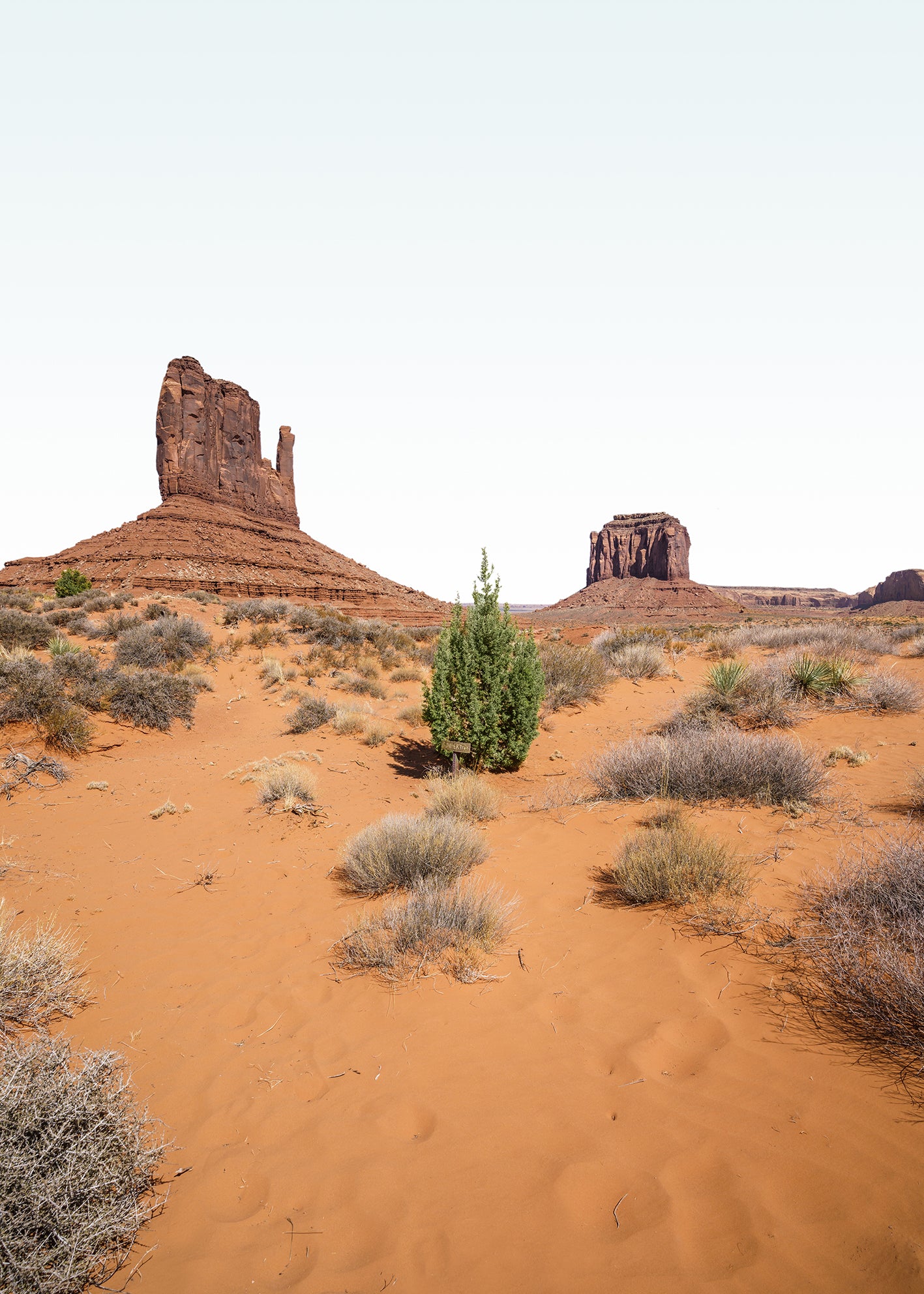 Canvastavla - Wildcat Trail