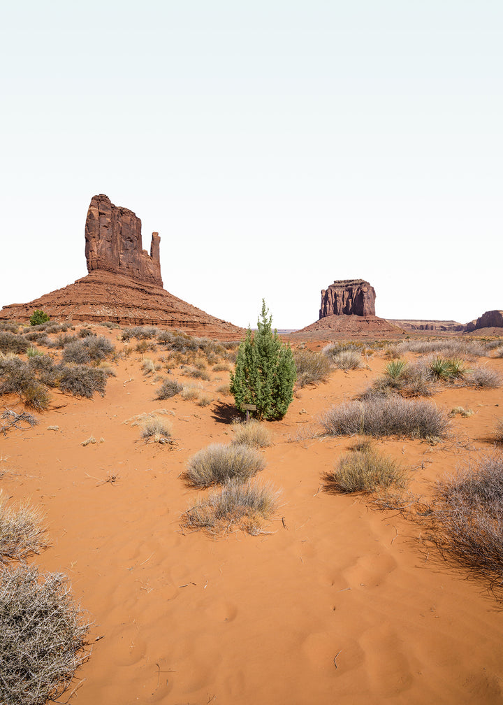 Canvastavla - Wildcat Trail