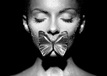 Canvastavla - Love is like a butterfly
