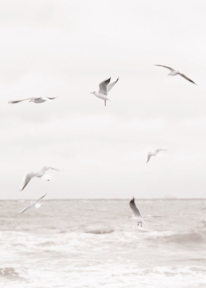Canvastavla - Soar Over The Sea
