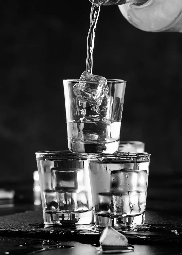 Canvastaulu - Vodka on Ice