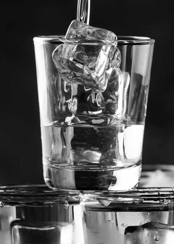 Canvastaulu - Vodka on Ice