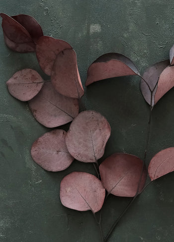 Canvastavla - Red Leaves