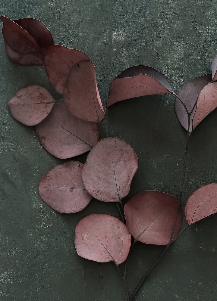 Canvastavla - Red Leaves