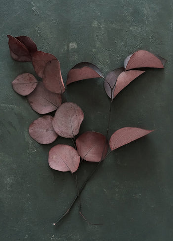 Canvastavla - Red Leaves