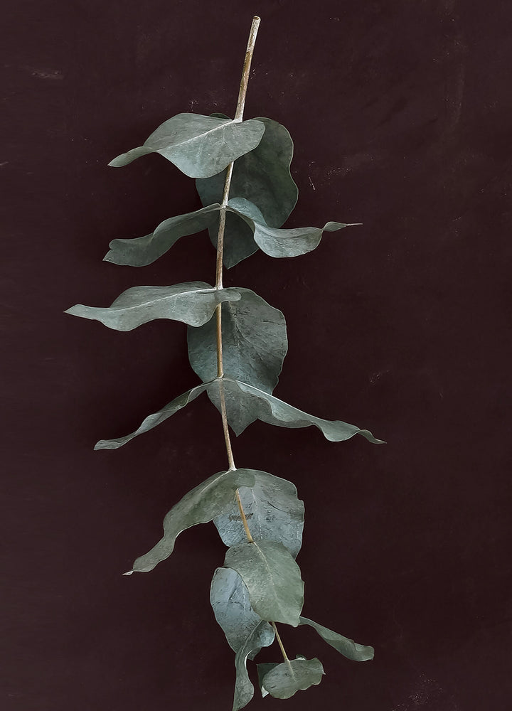 Canvastavla - Green Branches