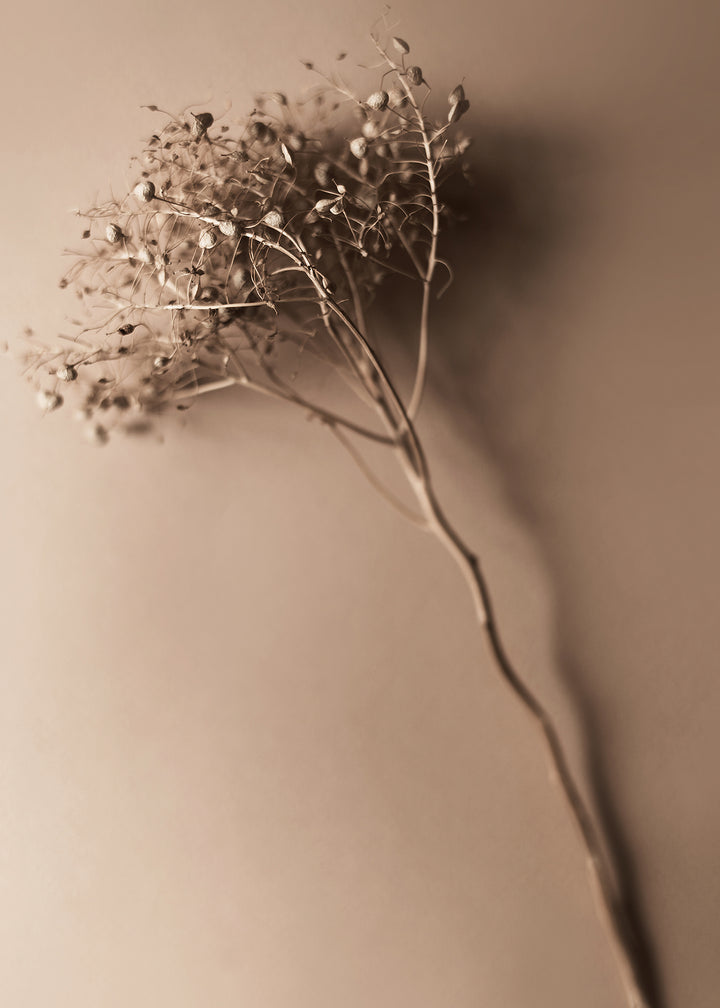 Canvastavla - Ripe Herb