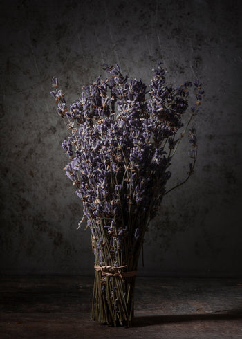 Canvastavla - Dry Lavender