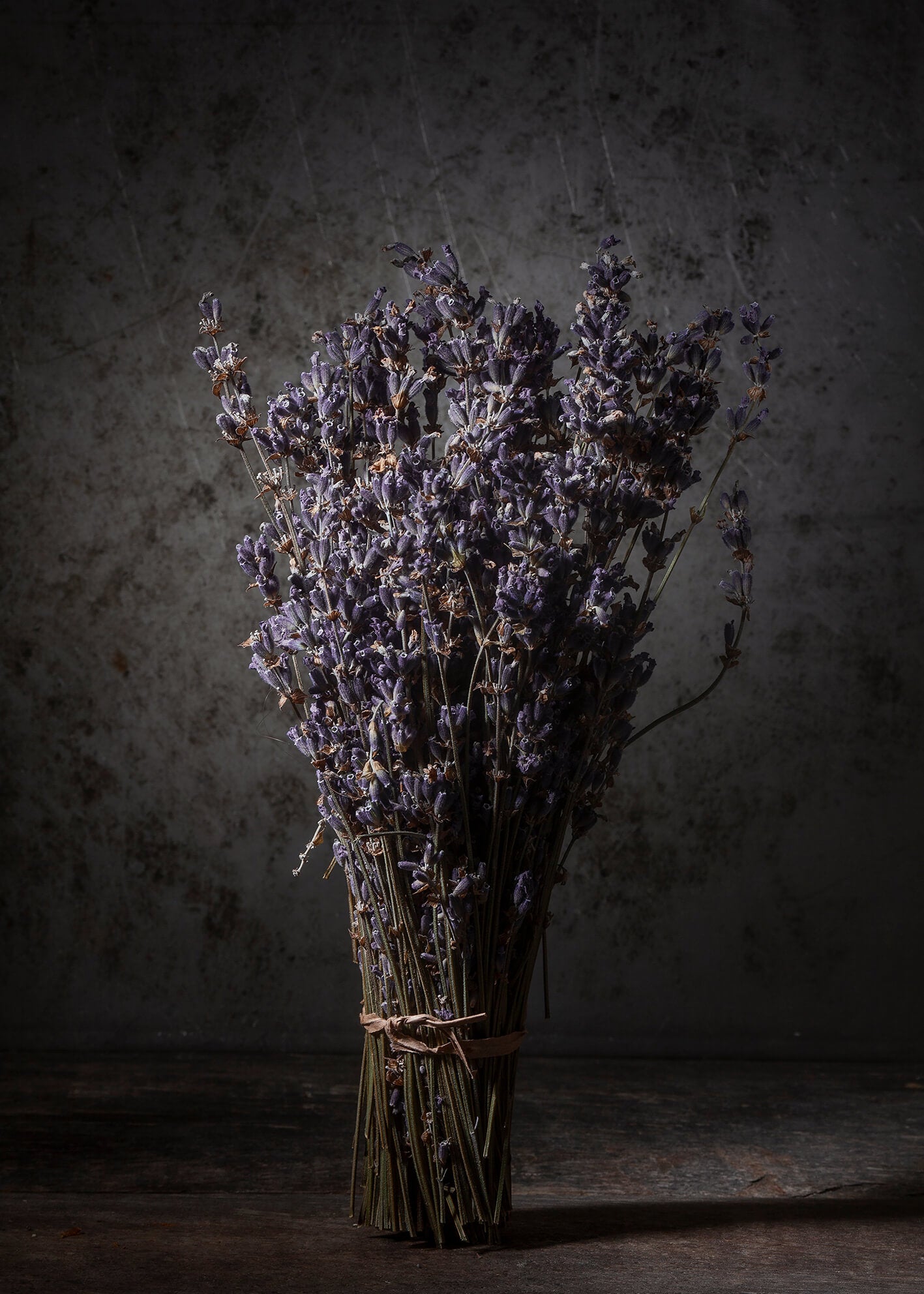 Canvastavla - Dry Lavender