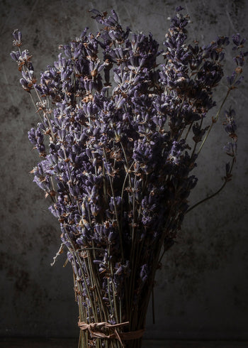 Canvastavla - Dry Lavender