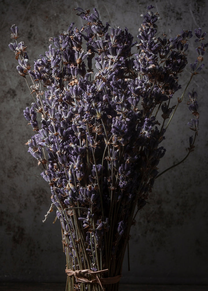 Canvastavla - Dry Lavender