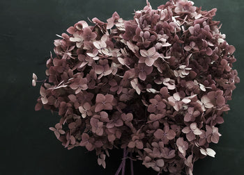 Canvastavla - Hortensia