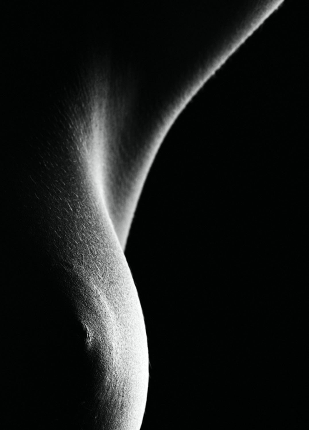 Tavla - Shape