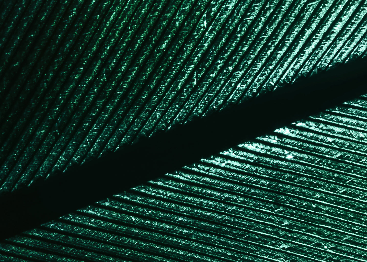 Canvastavla - Green Feather