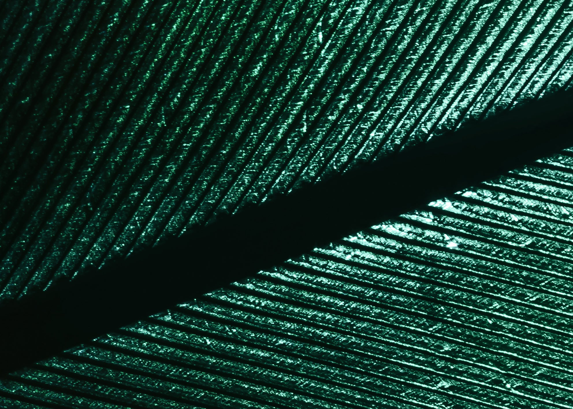 Canvastavla - Green Feather