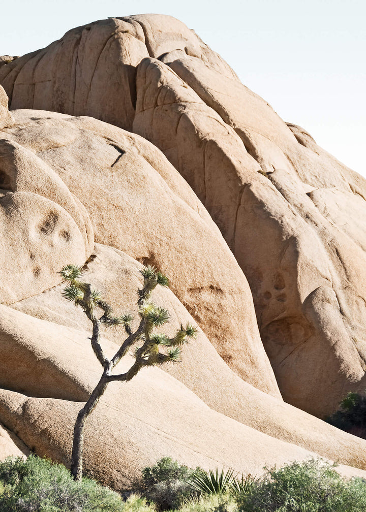 Canvastavla - Desert Rocks