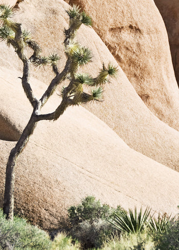 Canvastavla - Desert Rocks