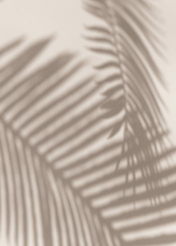 Canvastavla - Palm and Shadows