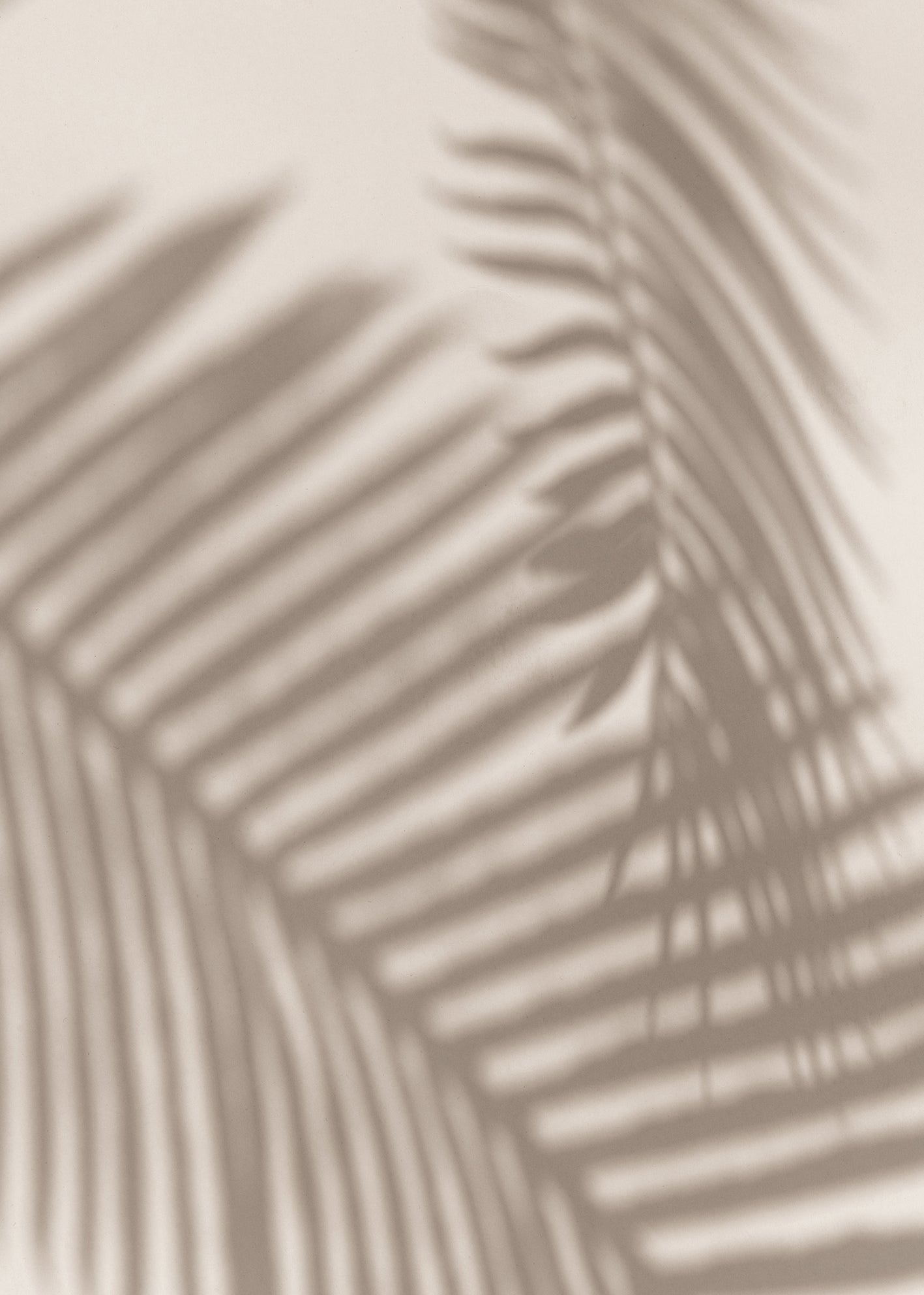 Canvastavla - Palm and Shadows