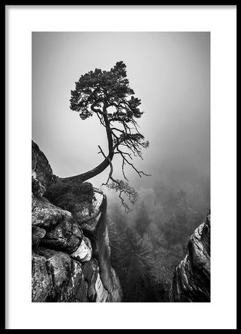 Poster - Tree of Hope