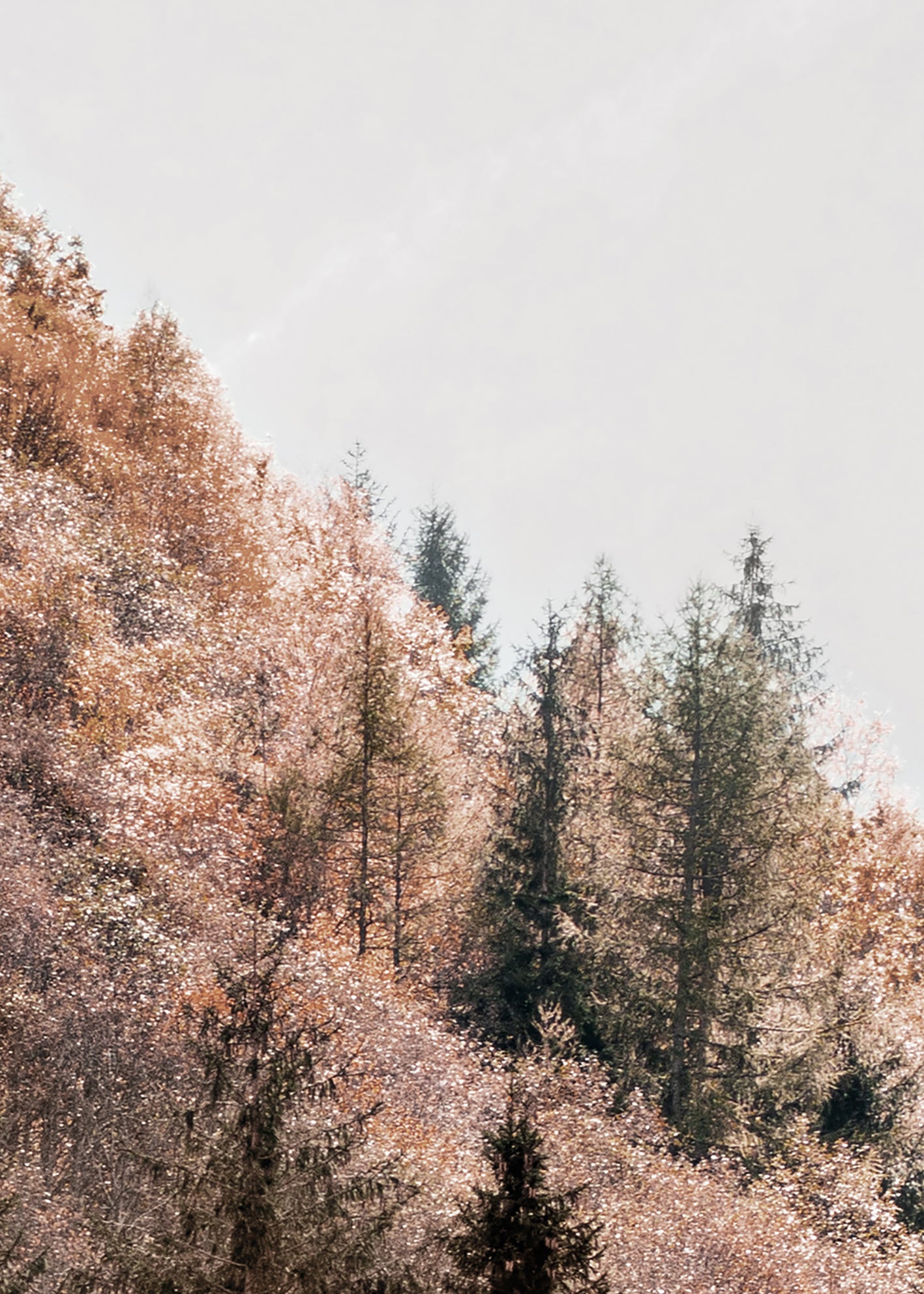 Ljuddämpande tavla - Fall Vibes
