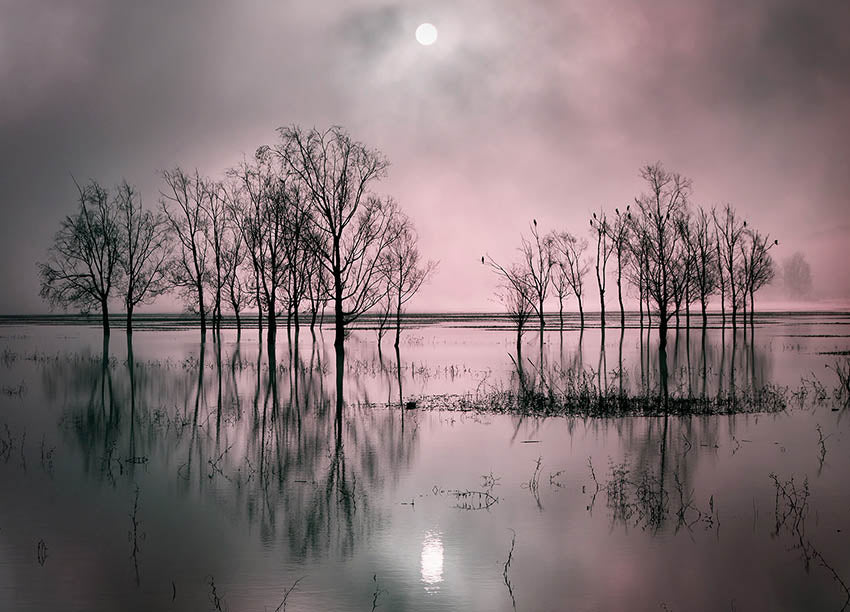 Canvastavla - Lake´s Secret