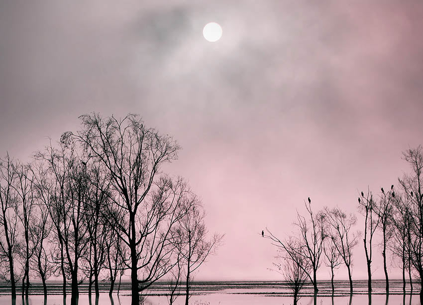 Canvastavla - Lake´s Secret