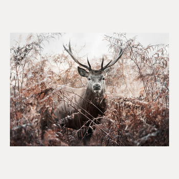 Poster - Majestic Solitude