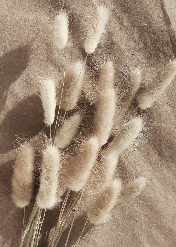 Canvastavla - Bunny Tails