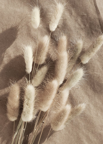 Ljuddämpande tavla - Bunny Tails