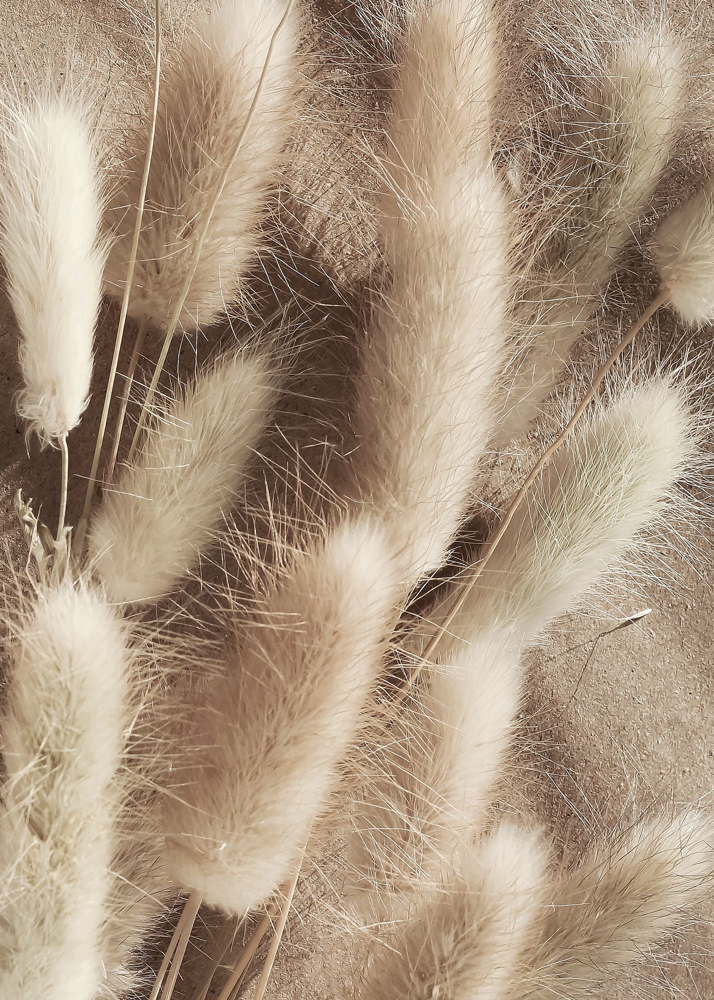 Ljuddämpande tavla - Bunny Tails