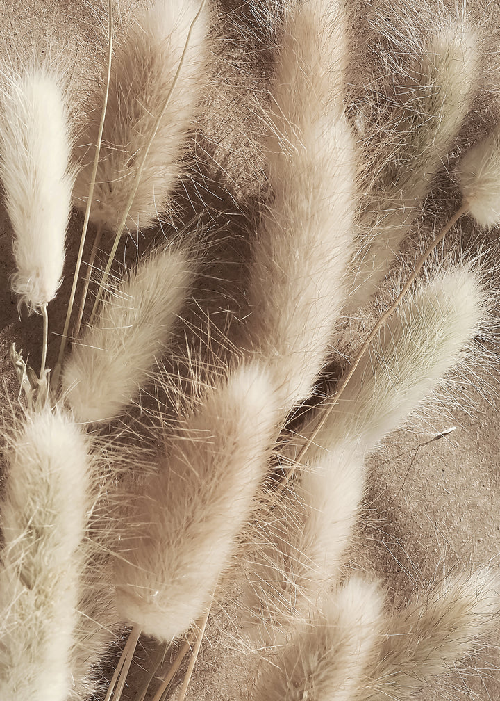 Ljuddämpande tavla - Bunny Tails