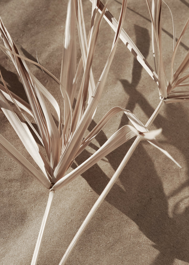 Canvastavla - Dry Branches