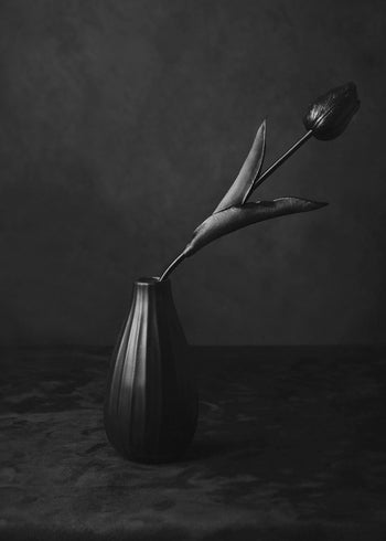 Ljuddämpande tavla - Black Tulip